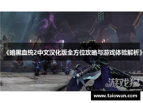 《暗黑血统2中文汉化版全方位攻略与游戏体验解析》